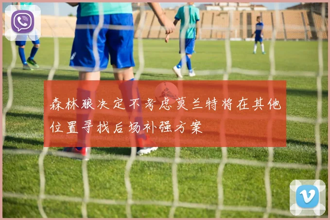 森林狼决定不考虑莫兰特将在其他位置寻找后场补强方案